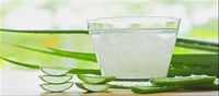 Aloe Vera Juice: The secret of health hidden in aloe vera juice